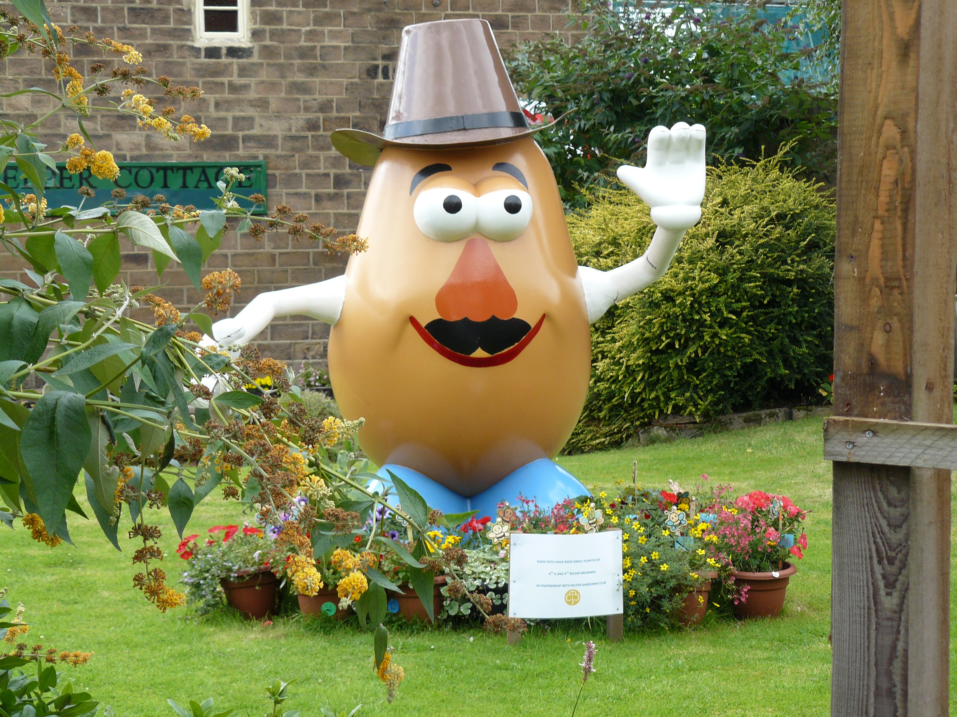 Mr Potato Head on the lawn in Belper